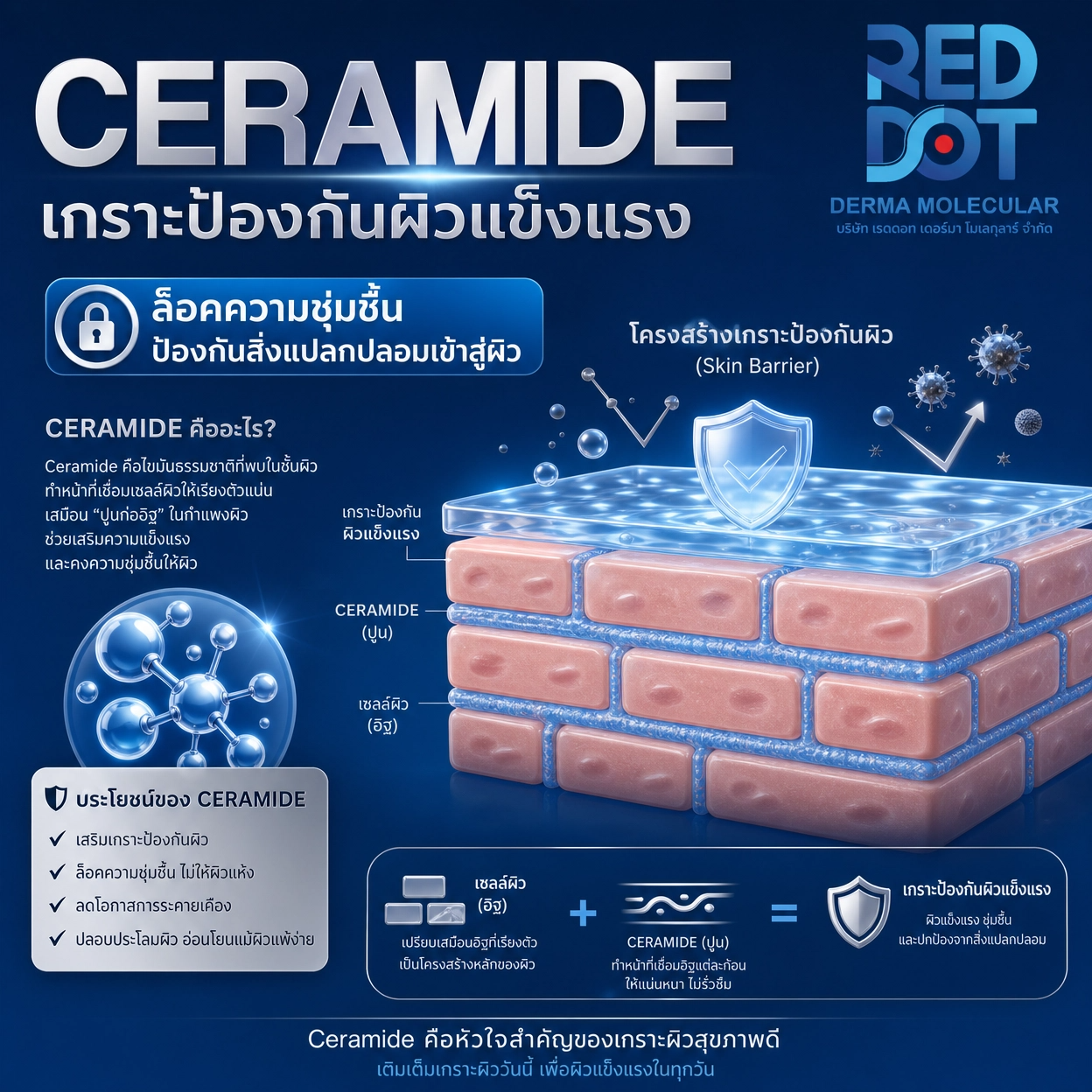 Ceramide เซราไมด์ สารสกัด สกินแคร์ OEM Reddot